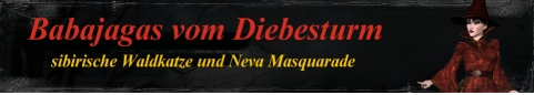 Babajagas_Banner-2