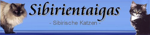 BannerSibirientaigas