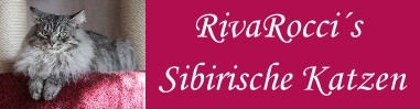 Hier k�nnen Sie unser Banner downloaden