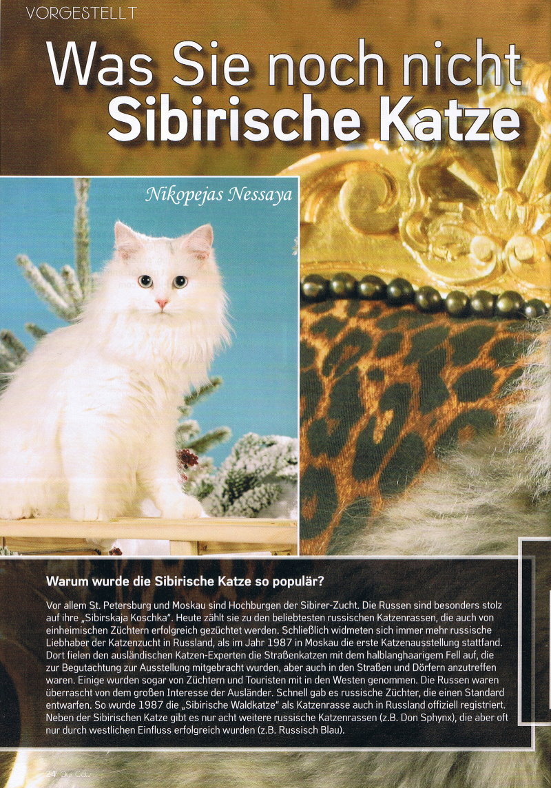 OurCats_08-10_Seite24