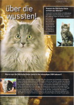 OurCats_08-10_Seite25