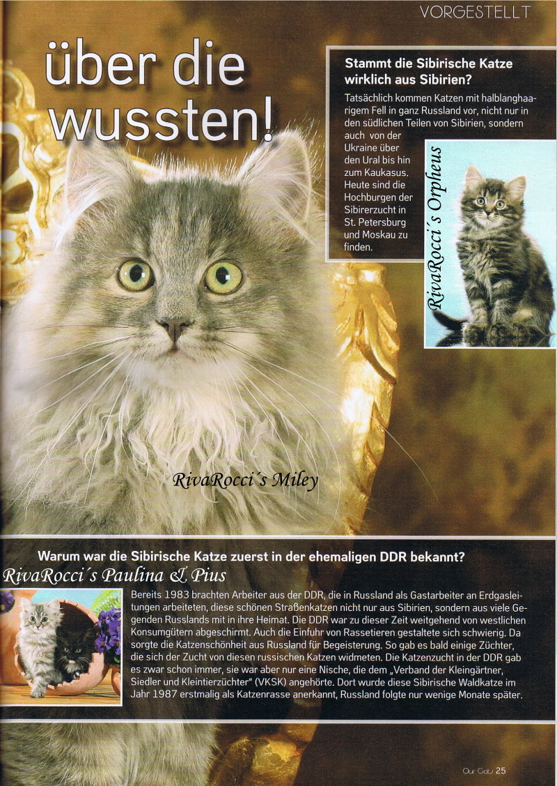 OurCats_08-10_Seite25