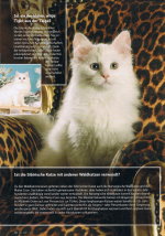 OurCats_08-10_Seite26