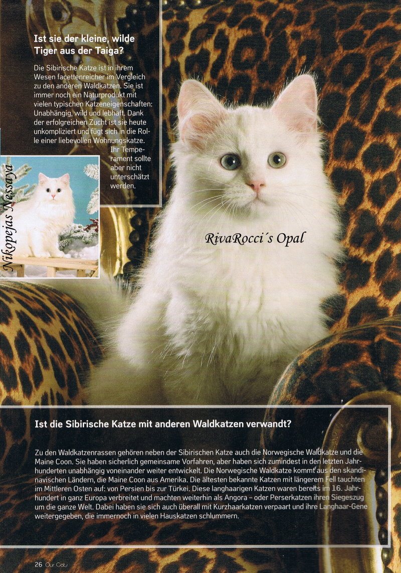 OurCats_08-10_Seite26