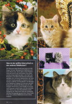 OurCats_08-10_Seite28
