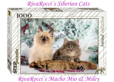 RivaRoccis Puzzle 09-2012