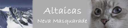 Altaicas Palatina